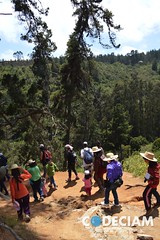 Quebrada de Córdova - Litoral central