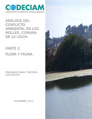 Portada informe los molles2