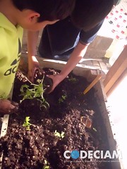 Huertas de la Vida 8