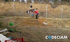 CAIPNEP_5