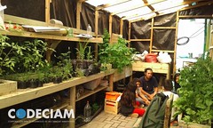 Huertas de la Vida 3