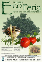 Afiche ECOFERIA El Tabo - Abril 2016