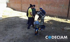 CAIPNEP_3