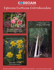 Especies exóticas introducidas