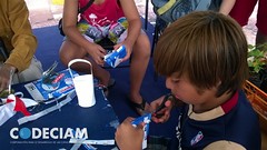 Caleta de Libros - Cartagena
